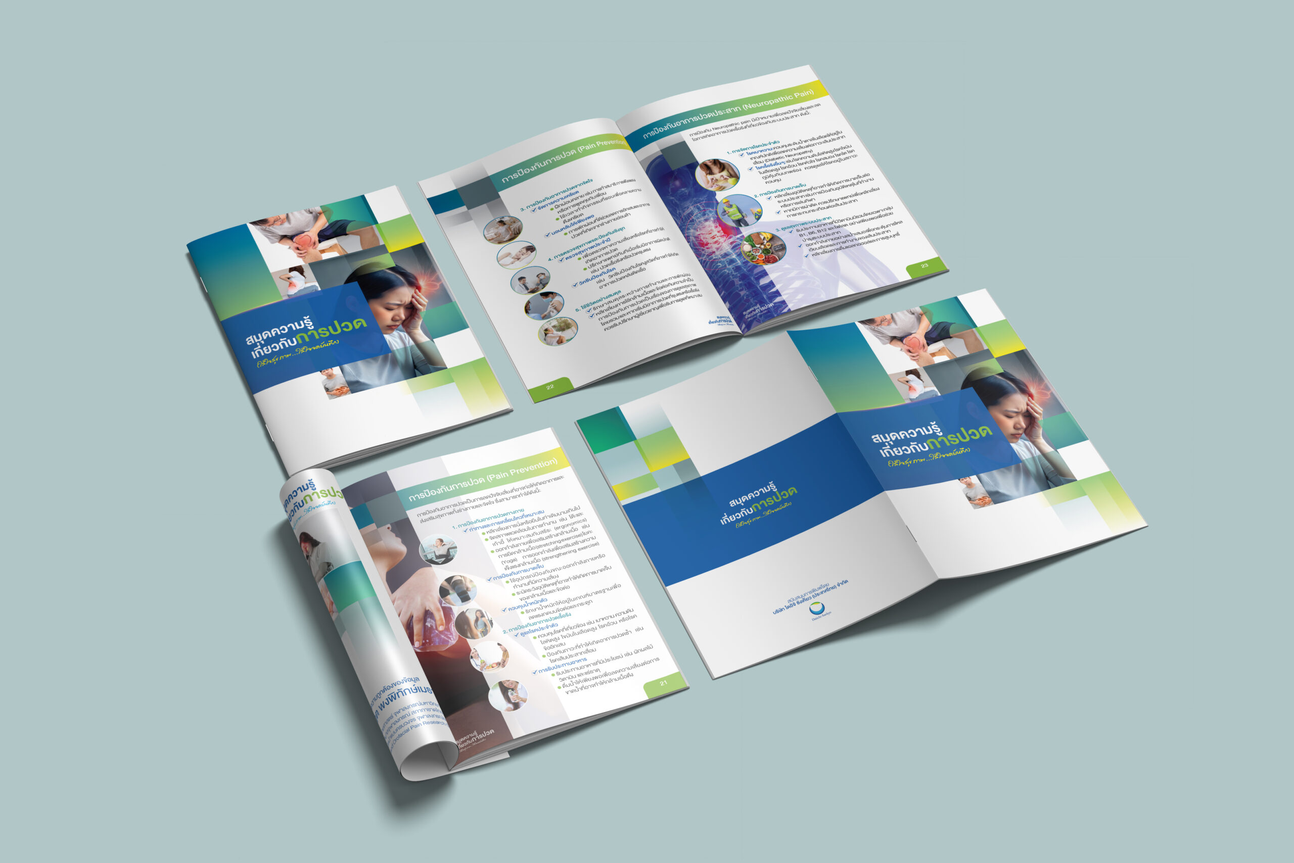 ออกแบบแคตตาล็อก